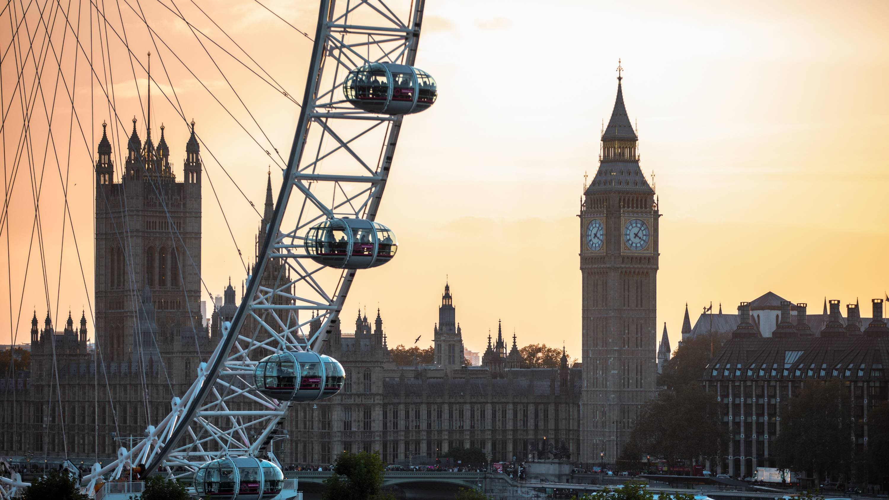 The London Eye & the London Eye River Cruise
